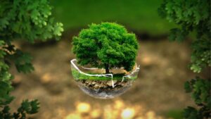 Riduzione e compensazione delle emissioni Scope 3 nella filiera aziendale